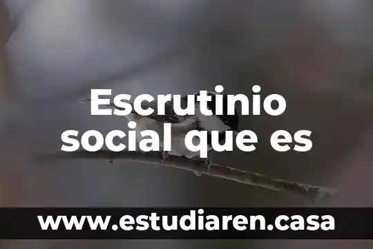 Qué es el desequilibrio de articulaciones 3 Escrutinio social que es