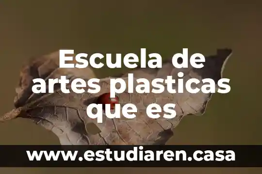 Que es artes plasticas y su clasificacion 5 Escuela de artes plasticas que es