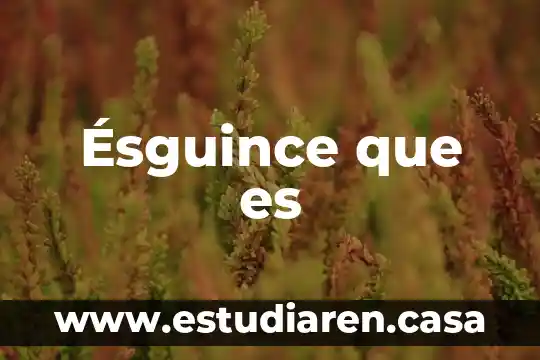 Ésguince que es