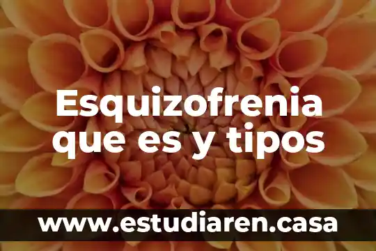 Esquizofrenia que es y tipos