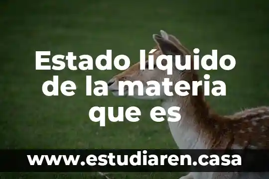 Que es la aprehensión en la materia de historia 7 Estado líquido de la materia que es