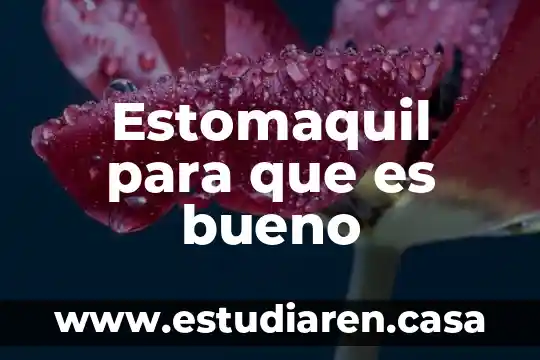 Estomaquil para que es bueno