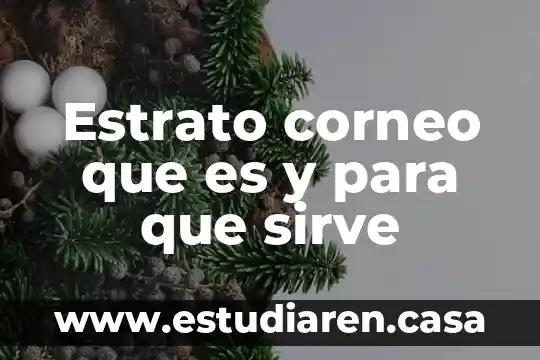 Estrato corneo que es y para que sirve