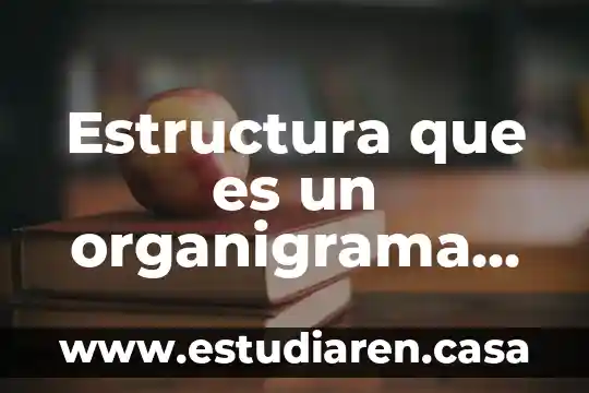Qué es lo que conforma la estructura de una construcción 6 Estructura que es un organigrama de un ayuntamiento