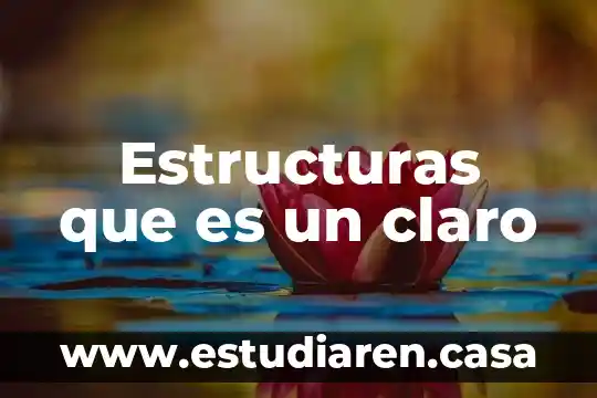 Que es estructuras humanas 8 Estructuras que es un claro