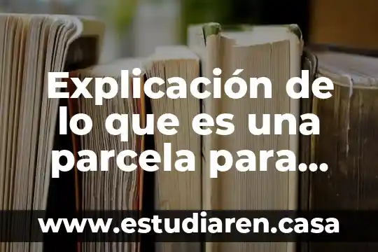 Explicación de lo que es una parcela para niños