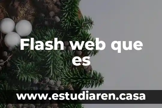 Flash web que es