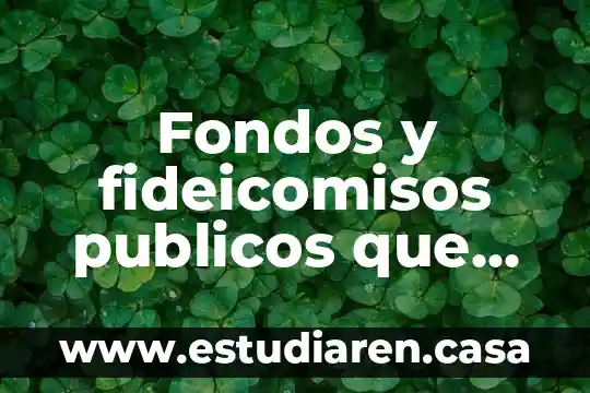 Que es el manejo de fondos publicos 3 Fondos y fideicomisos publicos que es