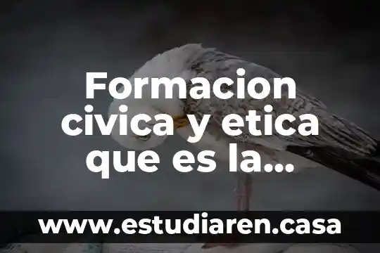 La cultura civica que es 8 Formacion civica y etica que es la comunicación