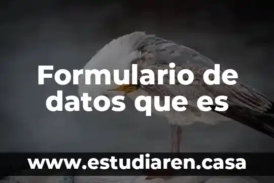 Que es dinamica de grupo y trabajo en equipo 4 Formulario de datos que es