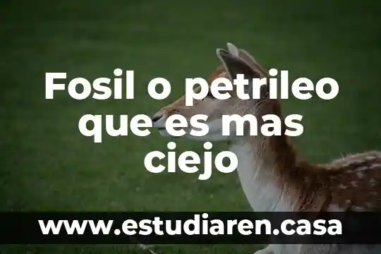 Que es un fosil y como se forma 8 Fosil o petrileo que es mas ciejo
