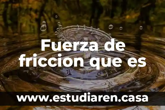 Fuerza de friccion que es
