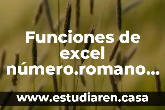 Funciones de excel número.romano que es
