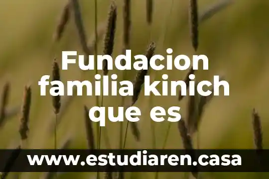 Fundacion familia kinich que es