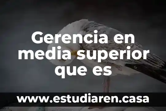 Que es la gerencia general de un hotel 6 Gerencia en media superior que es