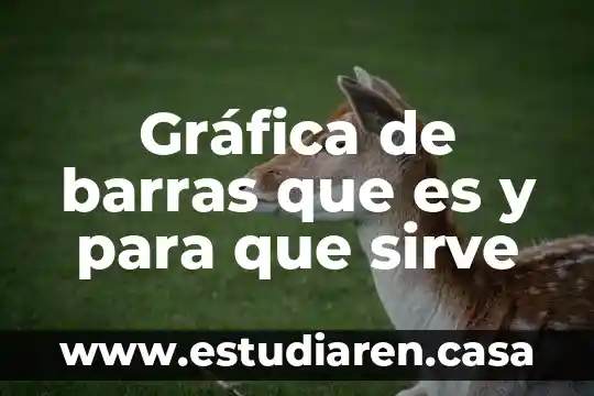 Qué es una línea suave en una gráfica 3 Gráfica de barras que es y para que sirve