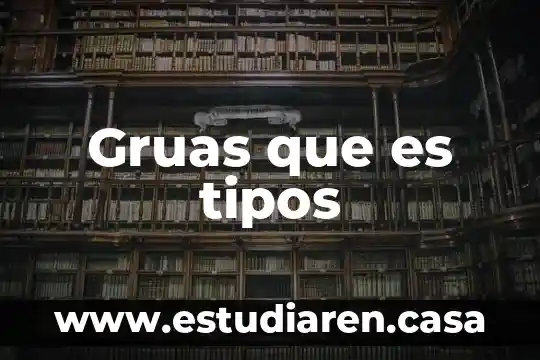 Gruas que es tipos
