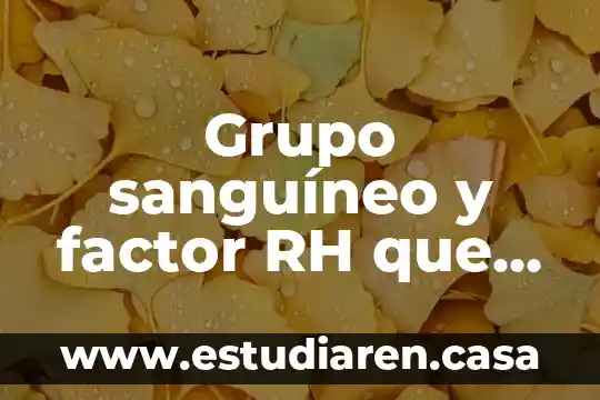 Grupo sanguíneo y factor RH que es
