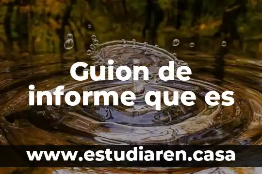 Guion de informe que es