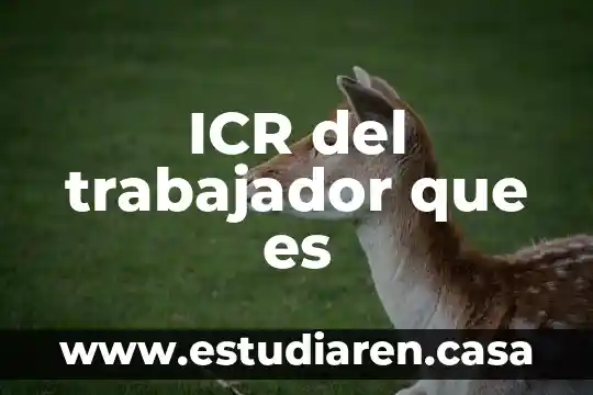 Que es un trabajador de la informacion 8 ICR del trabajador que es