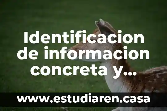 Identificacion de informacion concreta y explicaciones que es