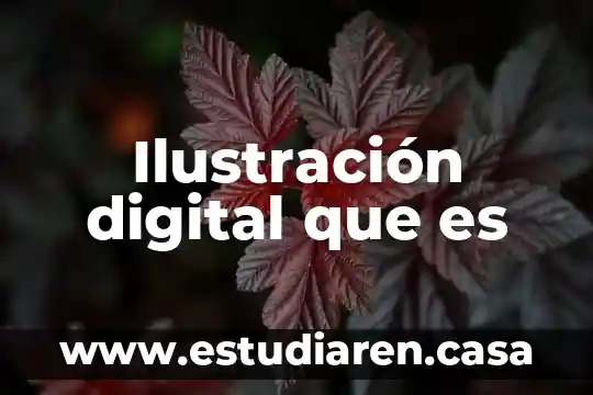 Ilustración digital que es