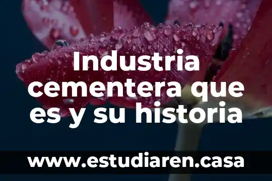Que es un variable continua en estadistica 5 Industria cementera que es y su historia