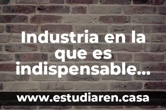 Que es la administración para los neoclasicos 7 Industria en la que es indispensable la administracion de operaciones