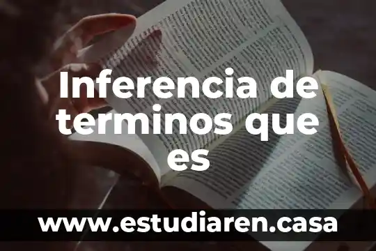 Inferencia de terminos que es