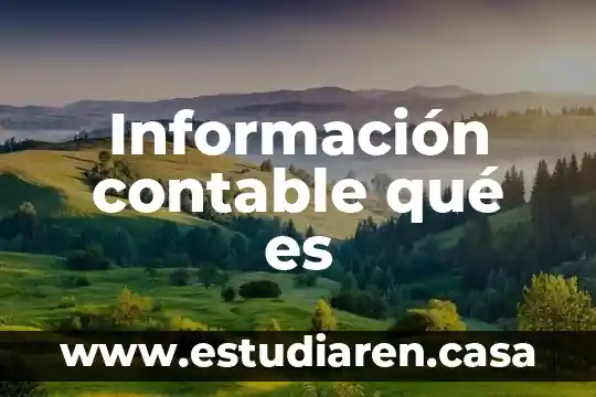 Información contable qué es