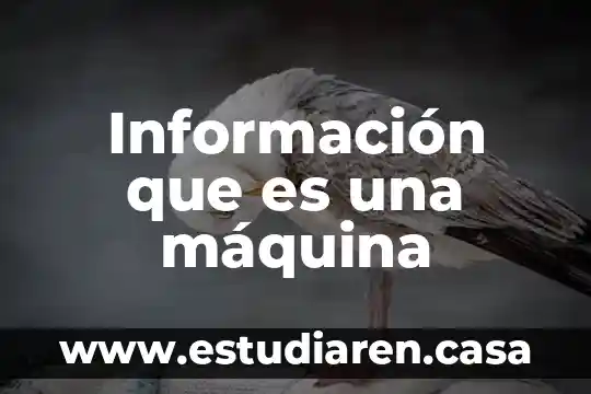 Información que es una máquina
