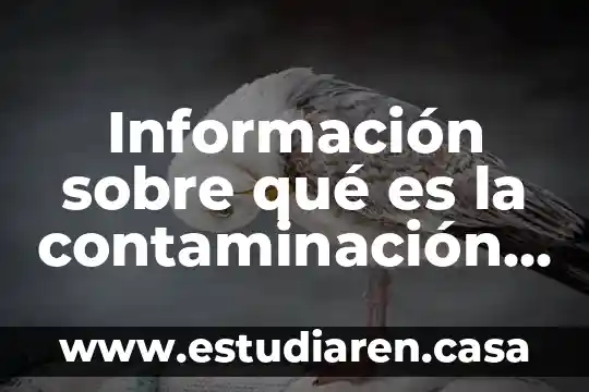 Información sobre qué es la contaminación del agua
