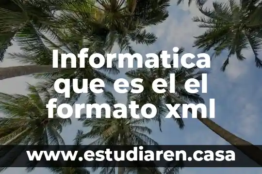 Para que es el formato XML 7 Informatica que es el el formato xml