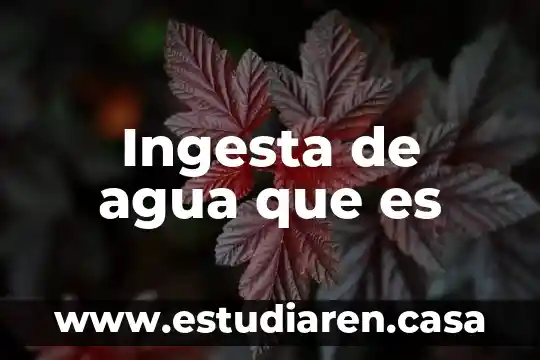 Ingesta de agua que es