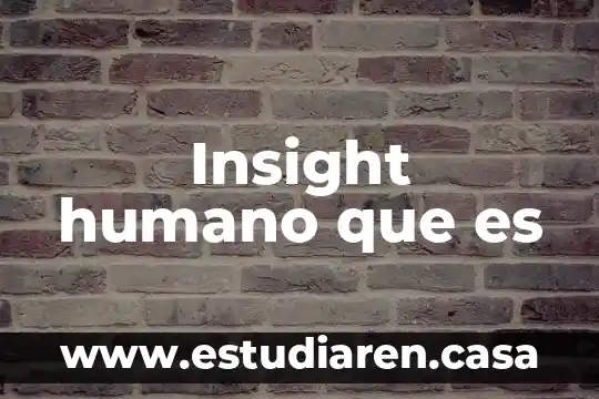 Insight humano que es