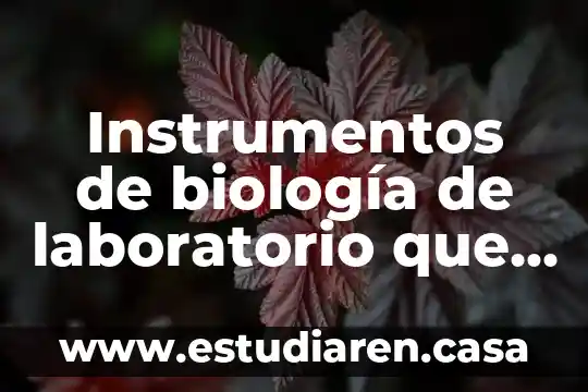 Instrumentos de biología de laboratorio que es instrumental