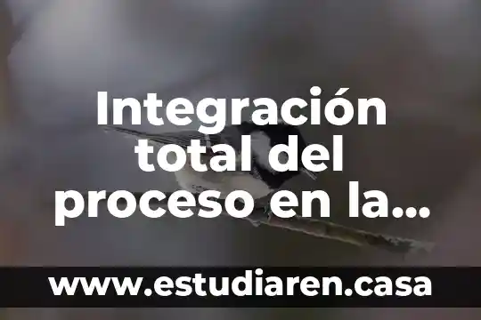 Que es integracion de aplicaciones 8 Integración total del proceso en la calidad que es