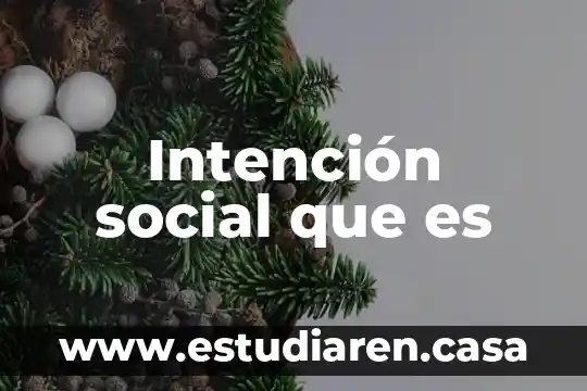 Qué es una carta de intención UABC 6 Intención social que es