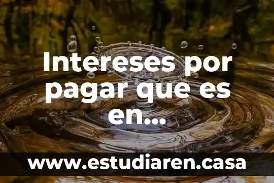 Intereses por pagar que es en contabilidad