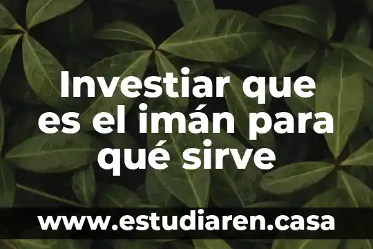 Qué es el RTU y para qué sirve 7 Investiar que es el imán para qué sirve