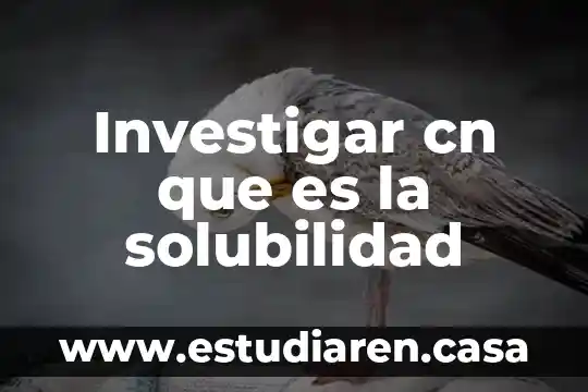 Investigar cn que es la solubilidad