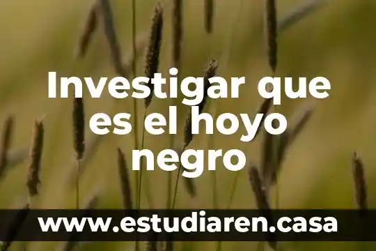 Investigar que es el hoyo negro