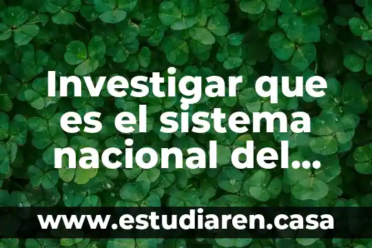 Investigar que es sistema volcanico tranbestral 8 Investigar que es el sistema nacional del bachillerato