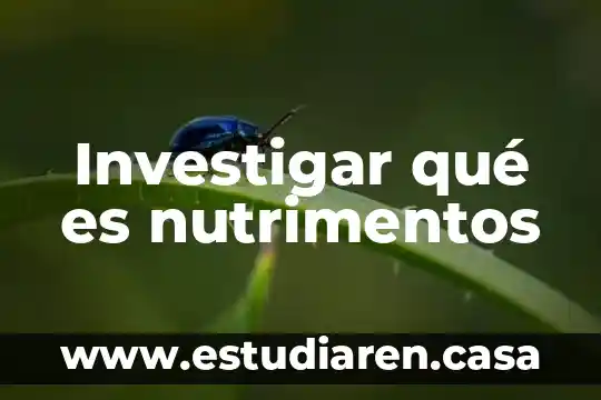 Investigar qué es nutrimentos 21 Investigar qué es nutrimentos