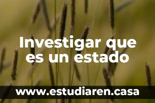 Que es estado financiero segun autores 6 Investigar que es un estado