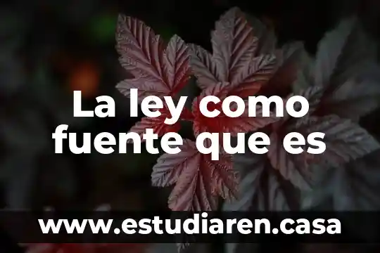 Que es una fuente de informacion estadistica directa 6 La ley como fuente que es