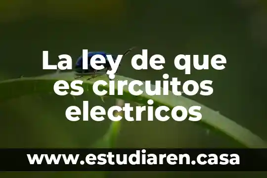 La ley de que es circuitos electricos
