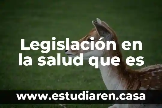 Qué es la sectorización en salud 6 Legislación en la salud que es