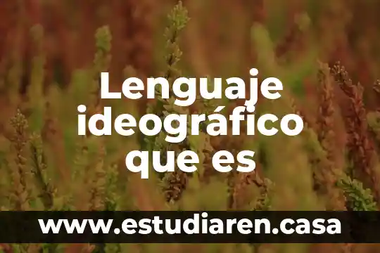 Lenguaje ideográfico que es