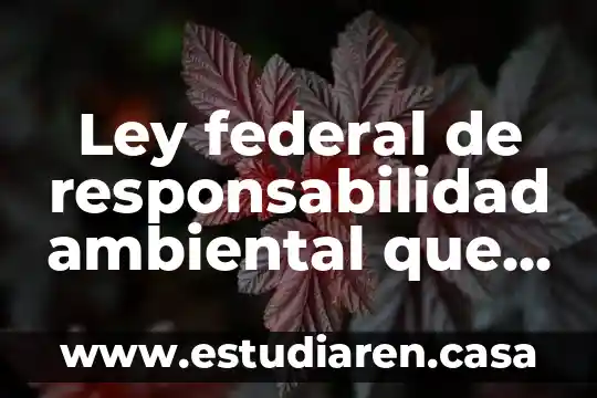 Que es la responsabilidad civil extracontractual peru 4 Ley federal de responsabilidad ambiental que es